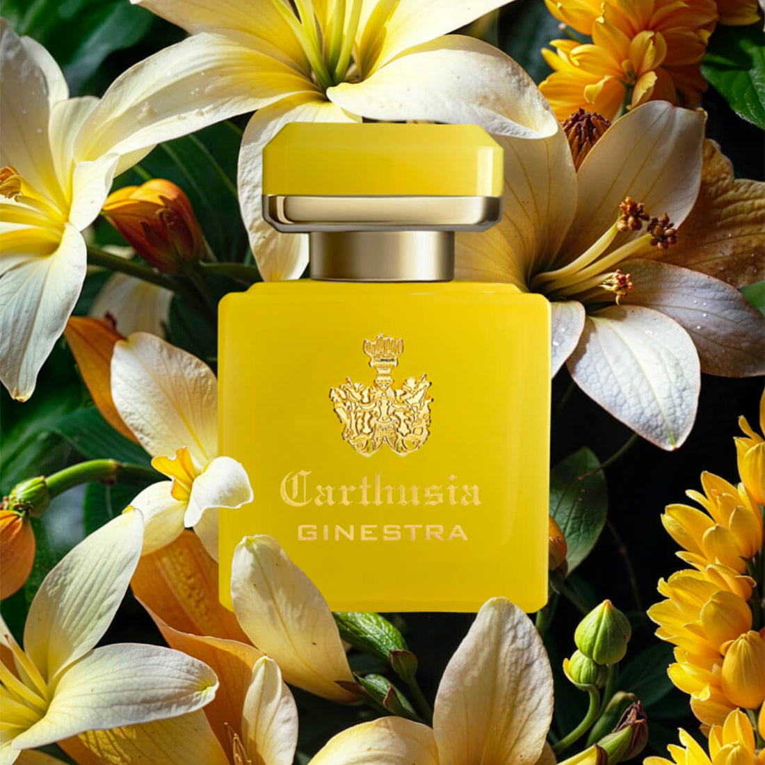 Profumi di Capri Intenso di Ginestra 50 ml_CAR050GI_Carthusia-3