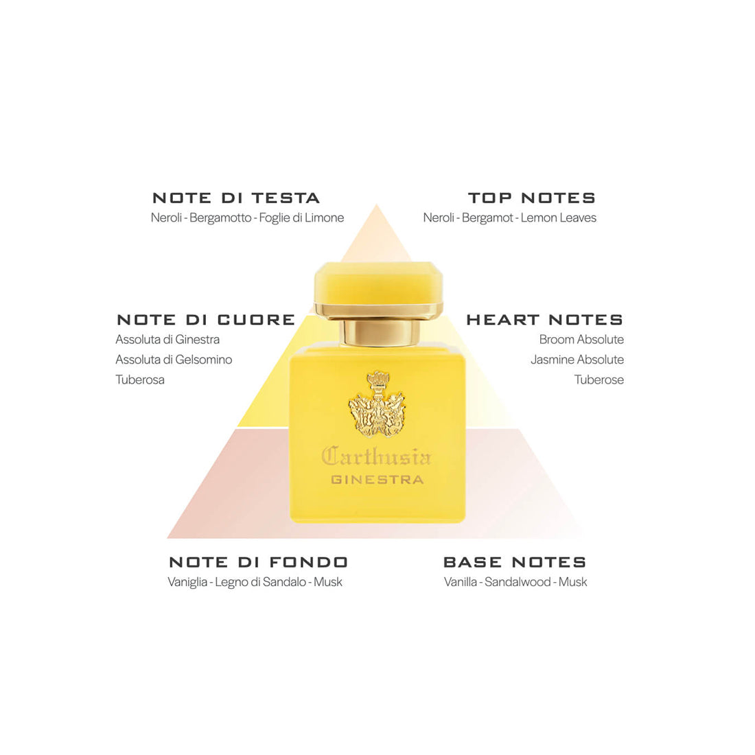 Profumi di Capri Intenso di Ginestra 50 ml_CAR050GI_Carthusia-4