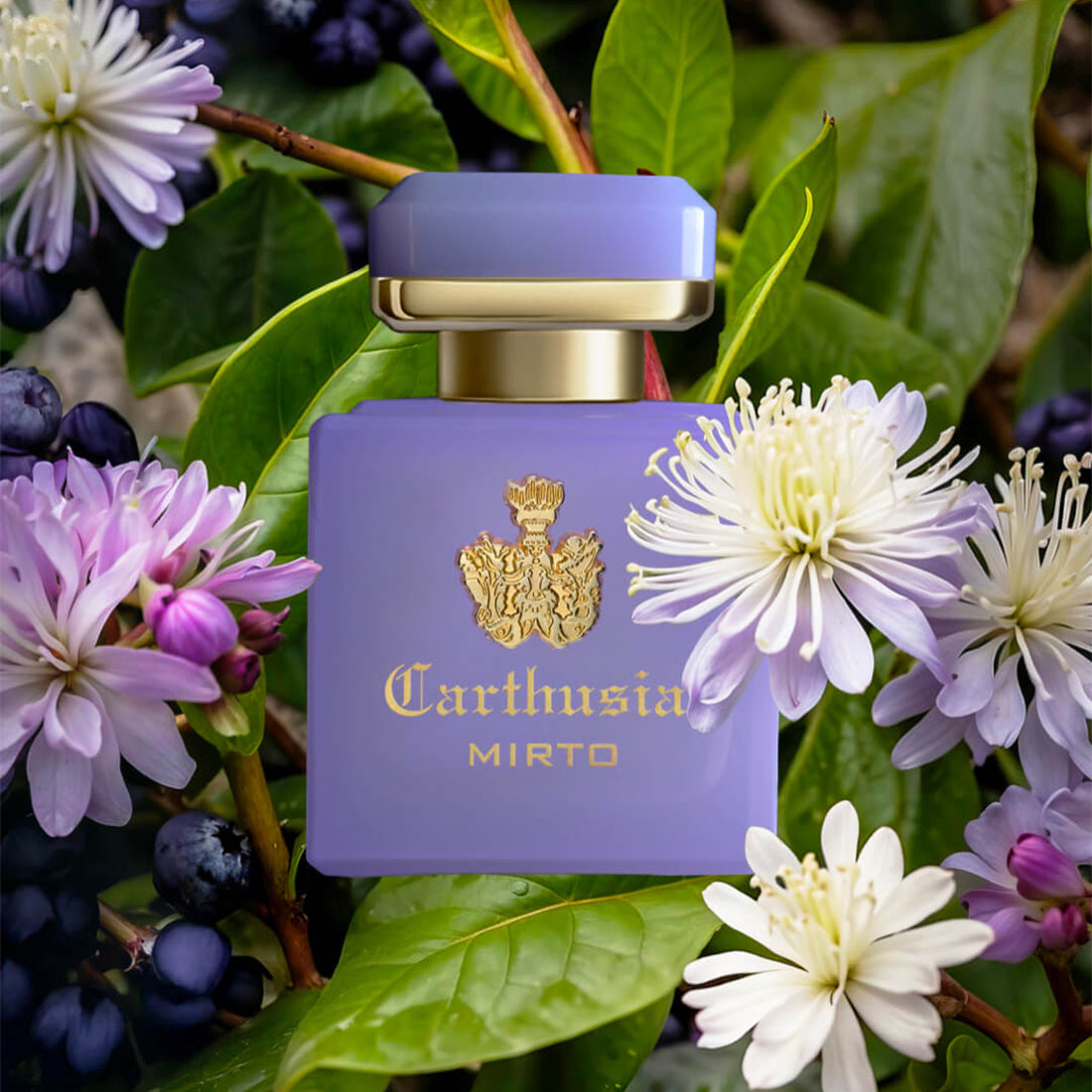 Profumi di Capri Intenso di Mirto 50 ml_CAR050MY_Carthusia-3