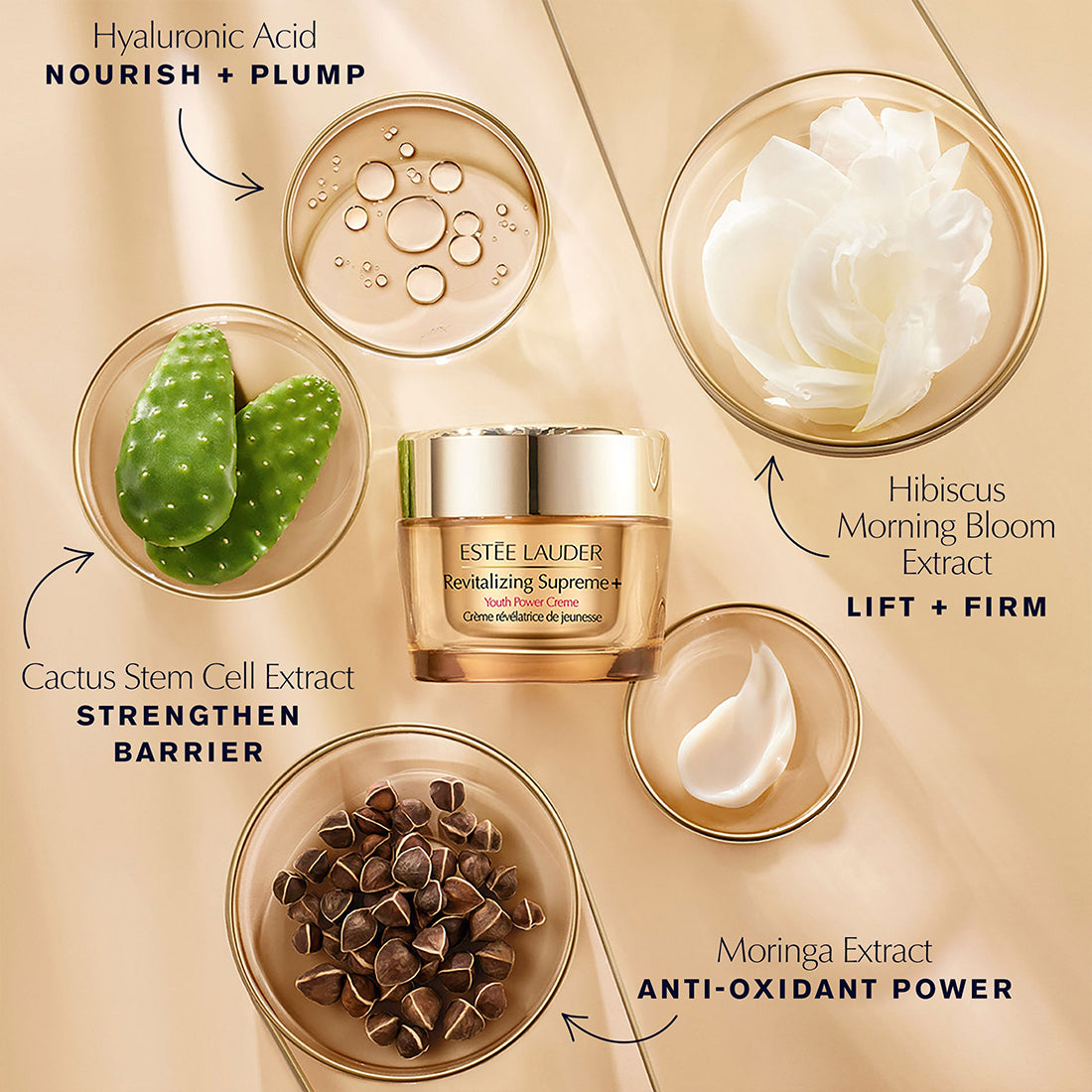 Revitalizing Supreme+ Youth Power Creme Crema Viso 50 ML_ESTPMXX01R_Estee Lauder-5