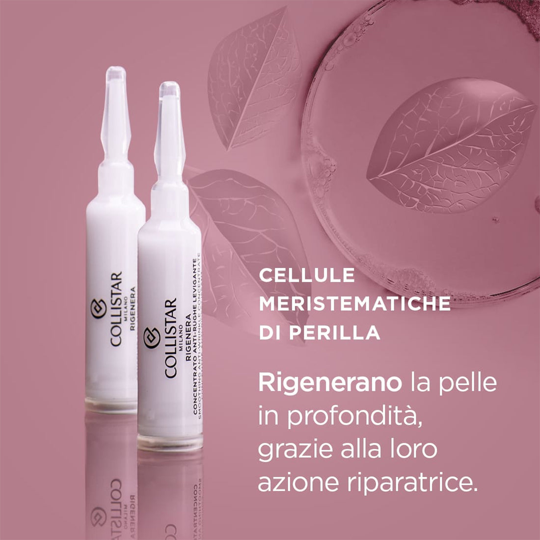 Rigenera Concentrato Antirughe Levigante_COL24802_Collistar-3