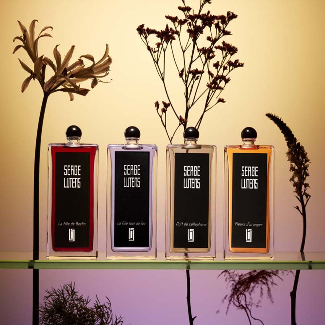 Santal Majuscule Eau De Parfum 50 ML_SL36112345155_Serge Lutens-5