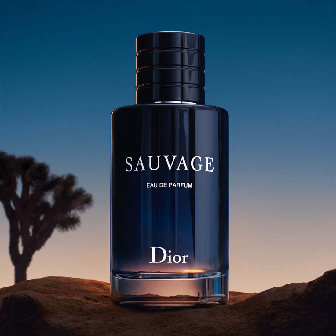 Sauvage Eau De Parfum 60 ML_CD 078522009_Dior-3