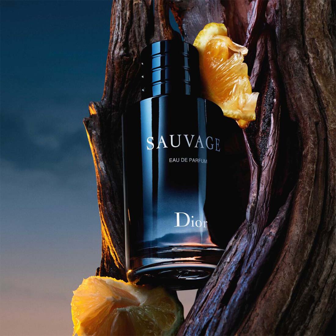 Sauvage Eau De Parfum 60 ML_CD 078522009_Dior-4