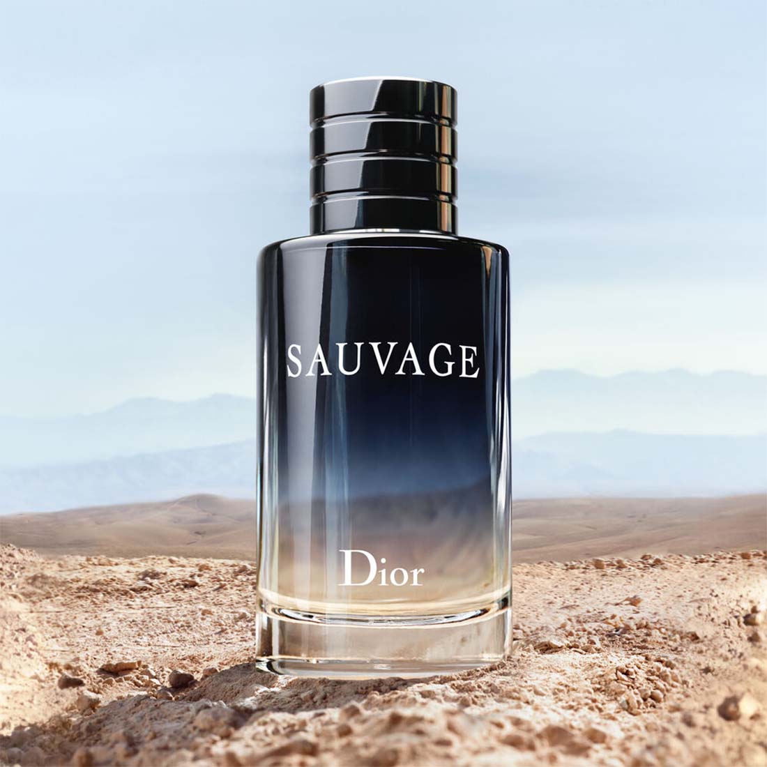 Sauvage Eau De Toilette 60 ML_CD 068522009_Dior-3