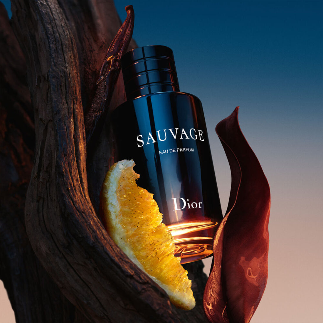 Sauvage Spray For The Wild – Eau de Parfum in edizione limitata_CD 000001342_Dior-3