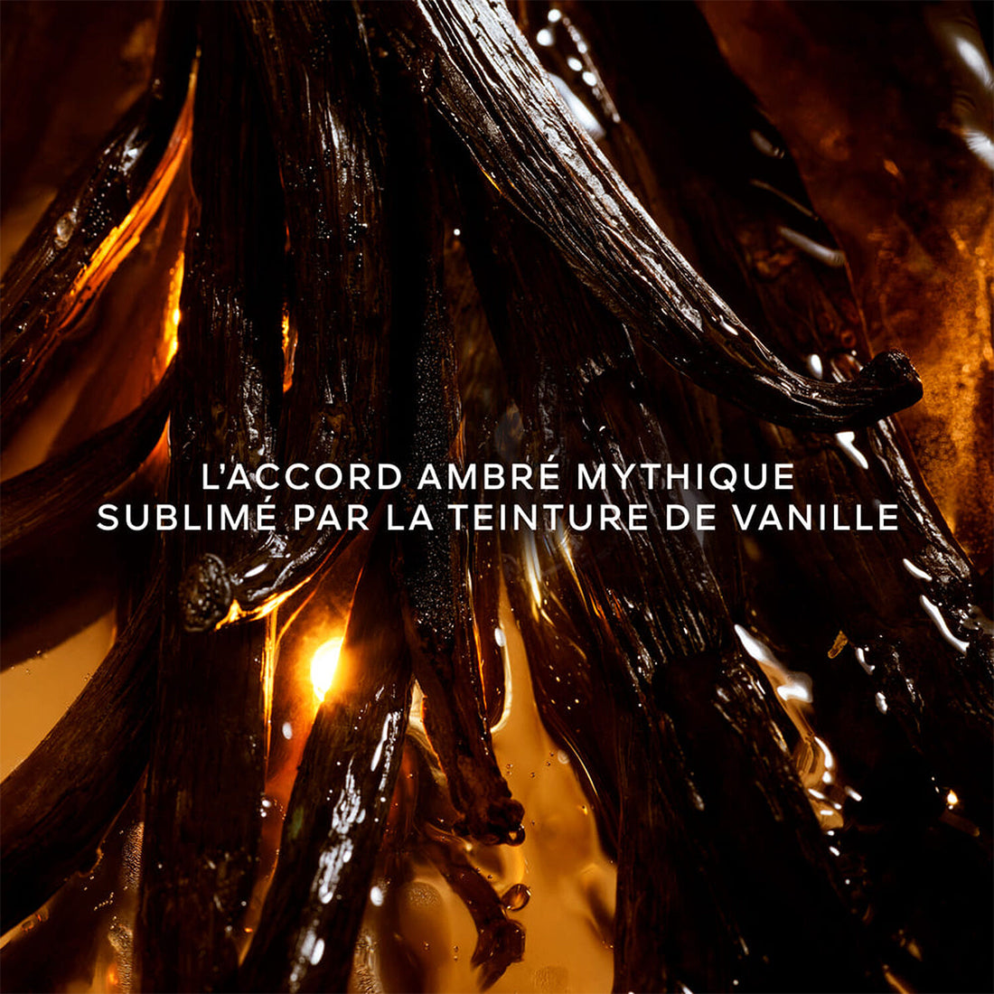 Shalimar L'essence Eau De Parfum Intense 50 ml_GUE014922_Guerlain-2