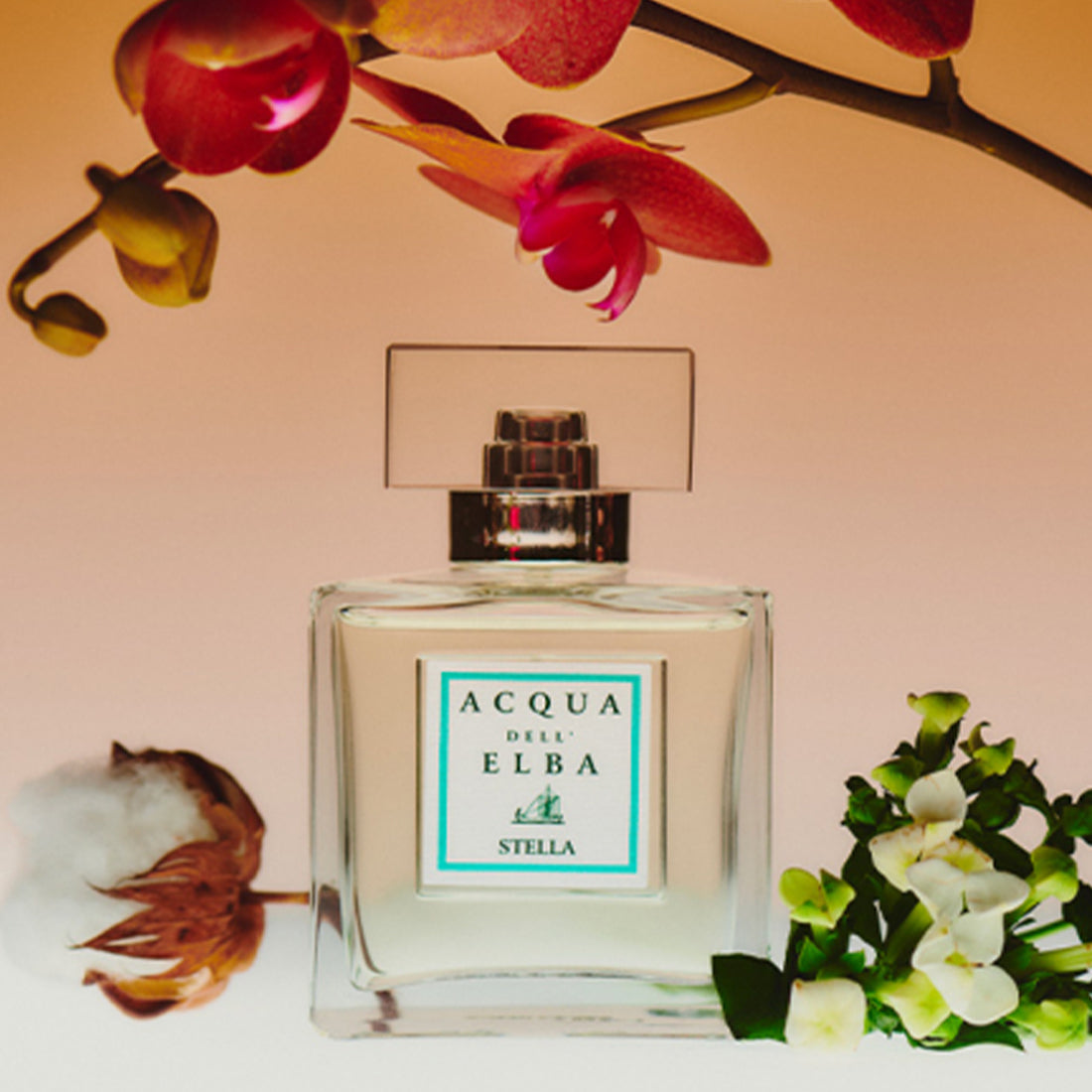 Stella Eau De Parfum 100 ML_ELBAPC42D_Acqua dell'Elba-4