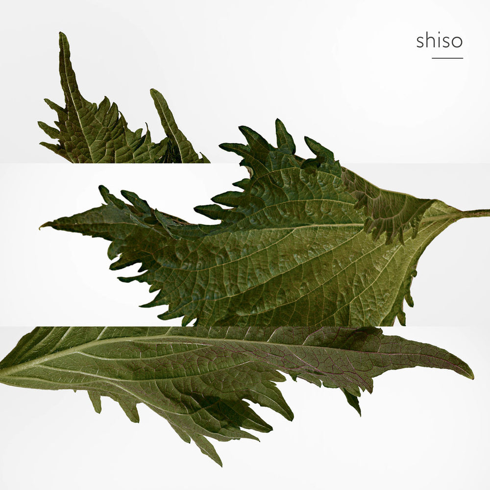 Terre D'Hermes Deodorant Spray Deodorante Spray 150 ML_HER20877_Hermes-5