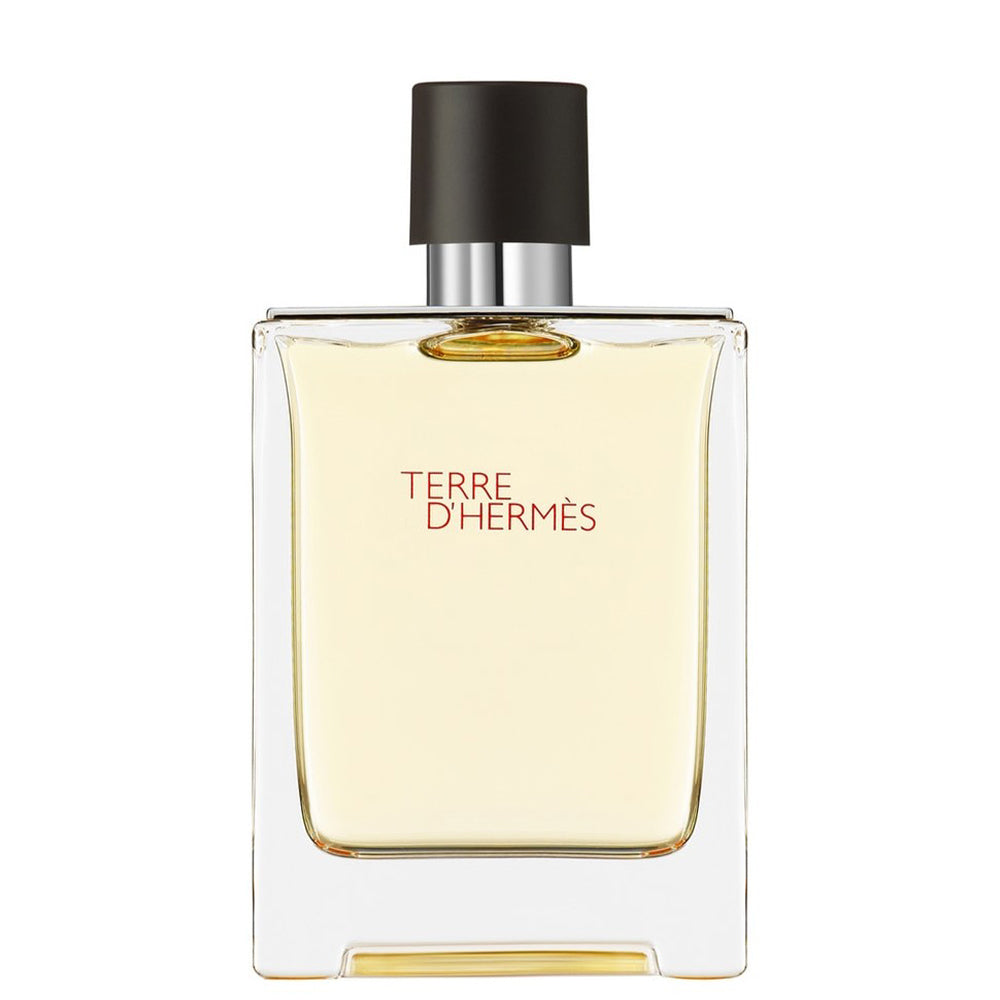Terre D'Hermes Eau De Toilette 100 ML_HER20872_Hermes