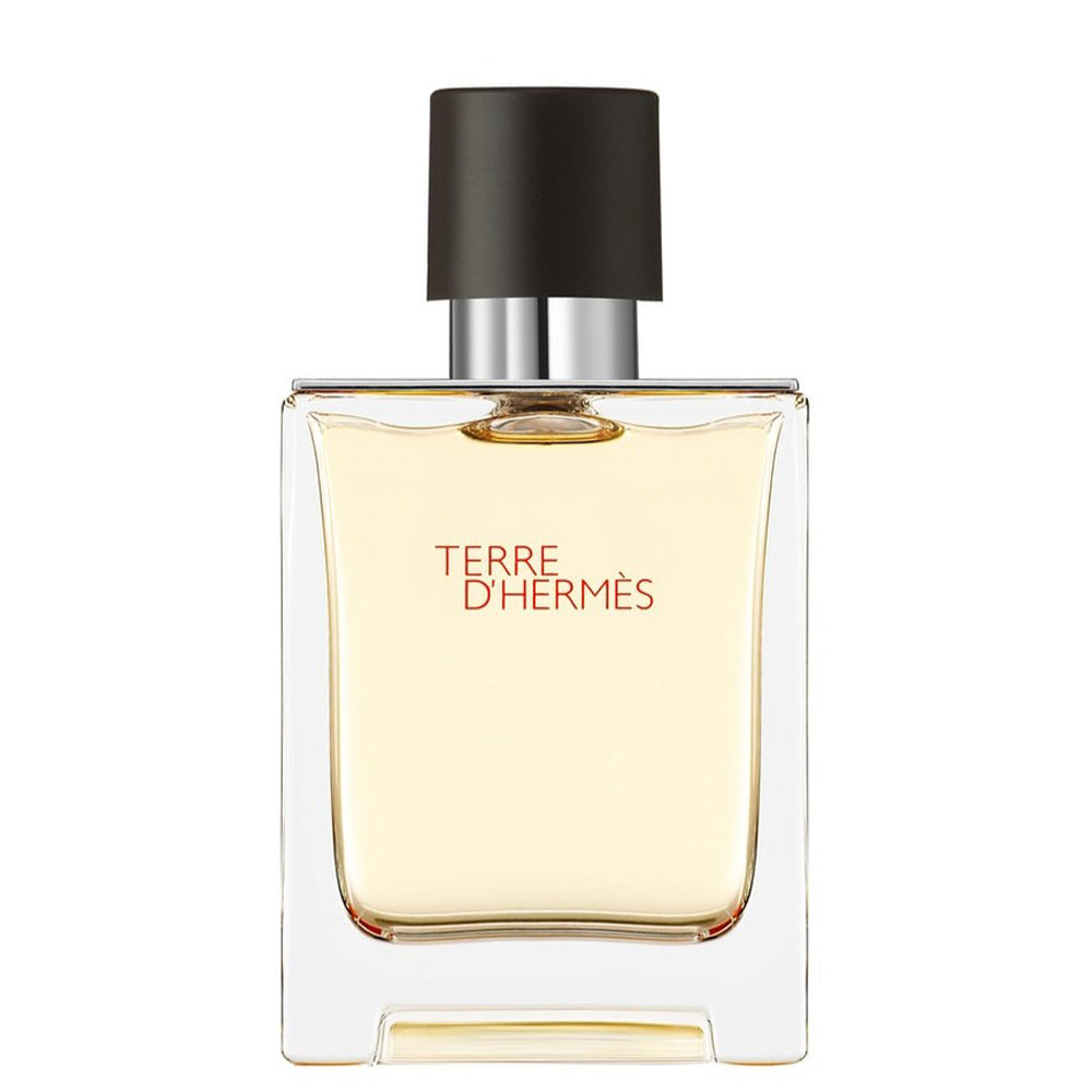 Terre D'Hermes Eau De Toilette 50 ML_HER20873_Hermes