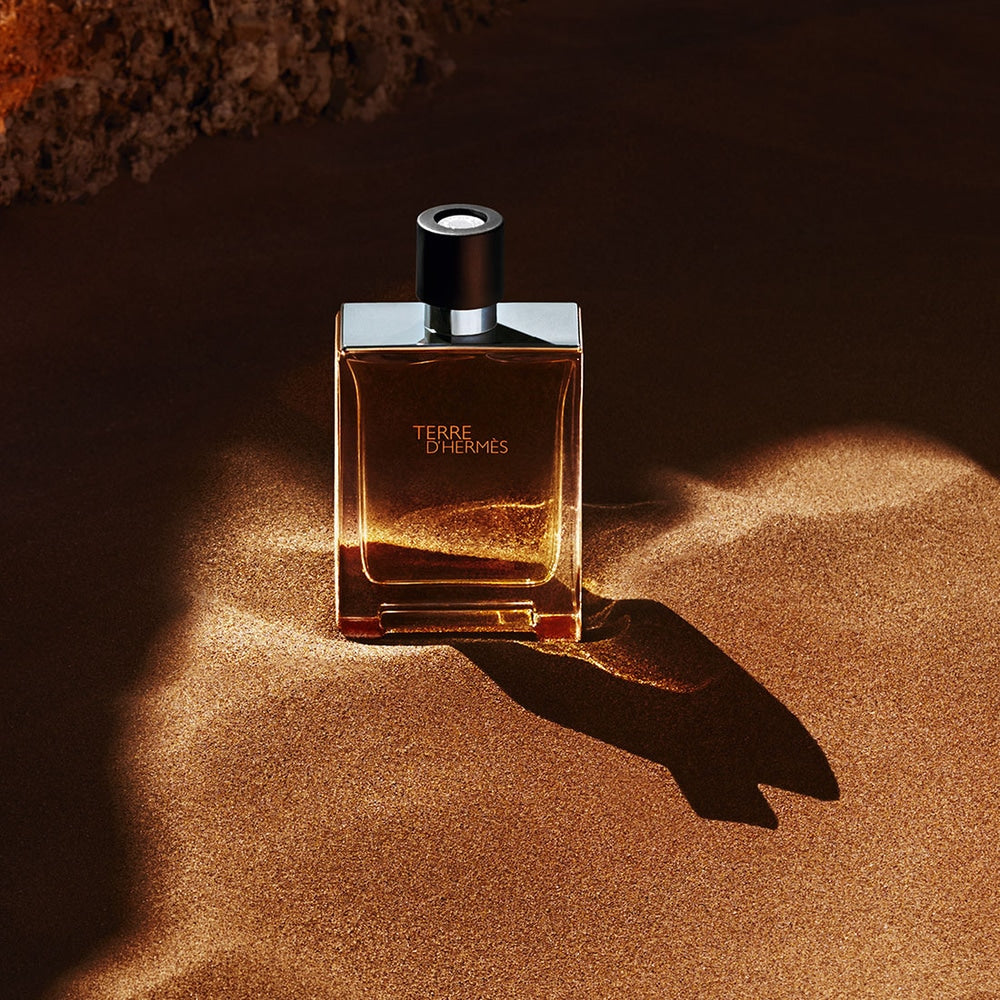 Terre D'Hermes Eau De Toilette Ricarica 125 ML_HER28821_Hermes-5
