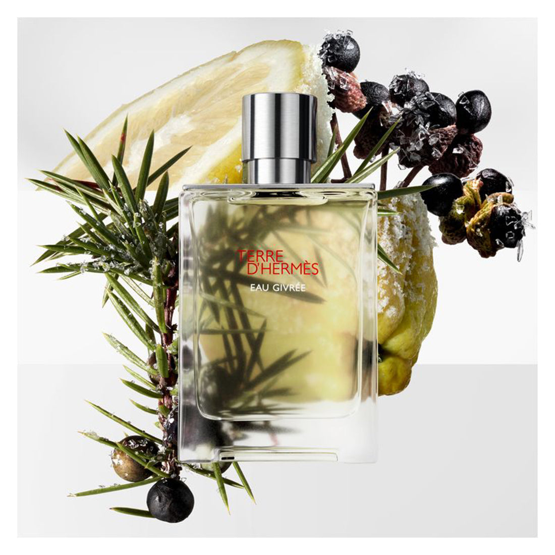 Terre D'Hermes Eau Givrèe Eau De Parfum Refill 200 ML_HER65201552_Hermes-3