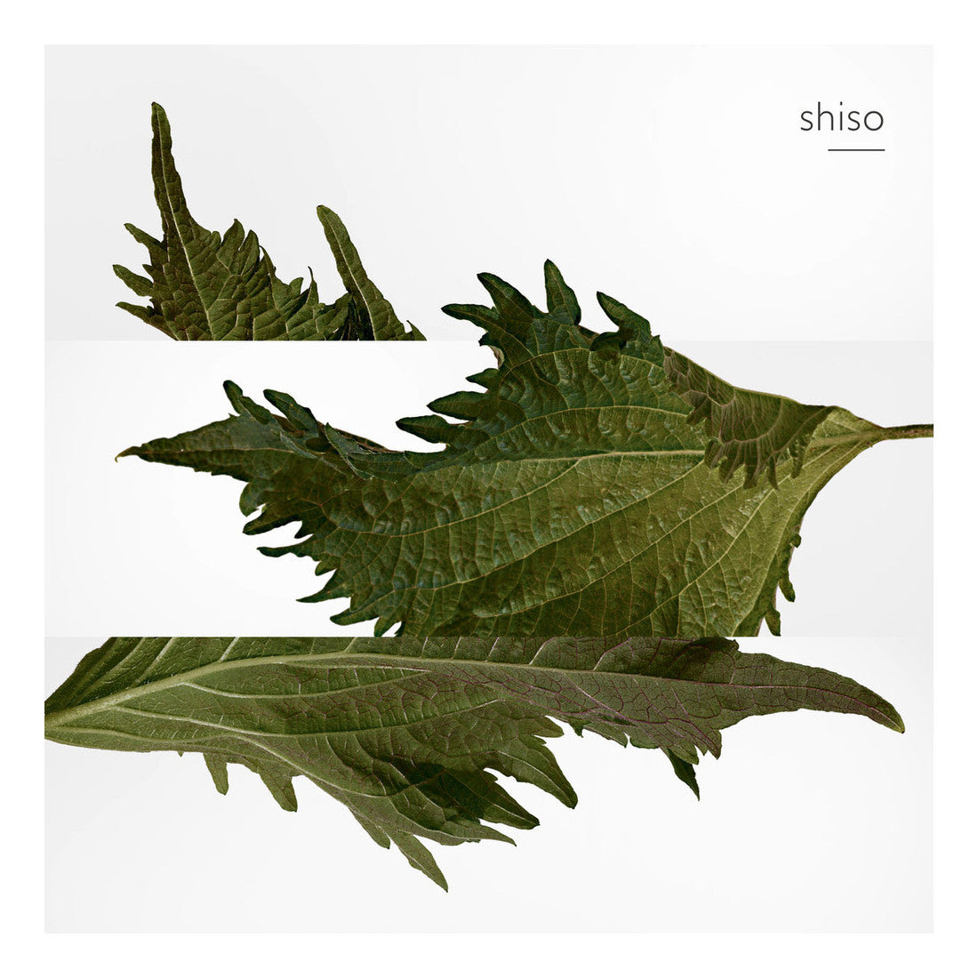 Terre D'Hermes Lotion Après Rasage Lozione Dopobarba 100 ML_HER20874_Hermes-4