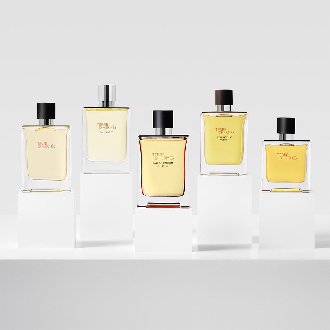 Terre D'hermes Eau De Parfum Intense 100 ML_HER65223129_Hermes-4