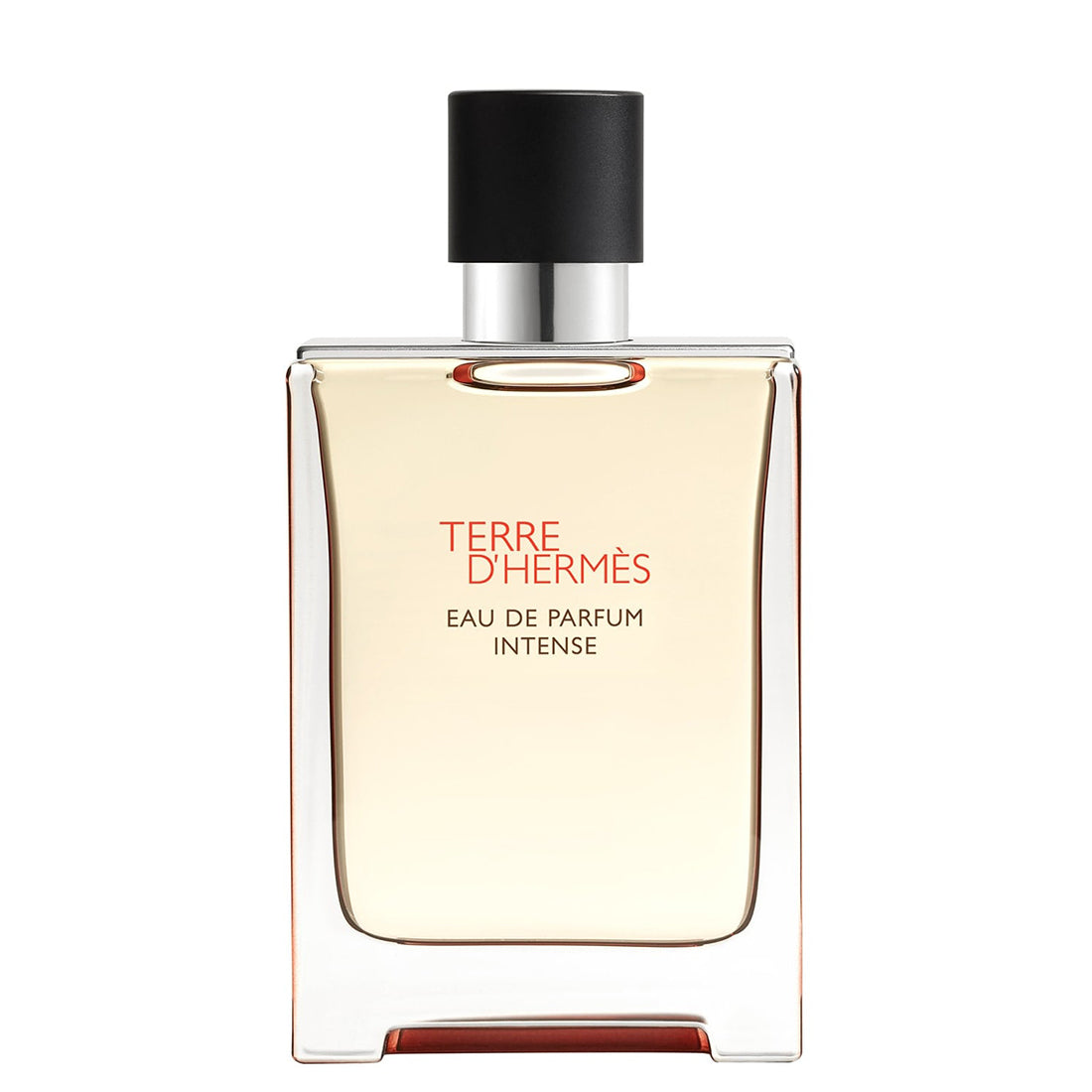 Terre D'hermes Eau De Parfum Intense 100 ML_HER65223129_Hermes