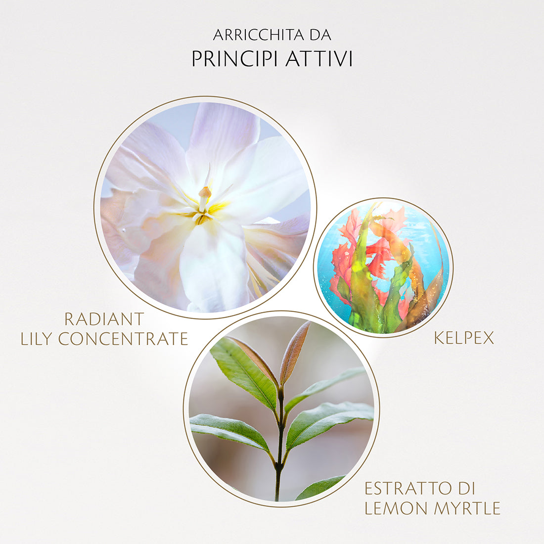 The Serum Siero Viso 75 ML_CDP10121525101_CLE' DE PEAU BEAUTE'-5