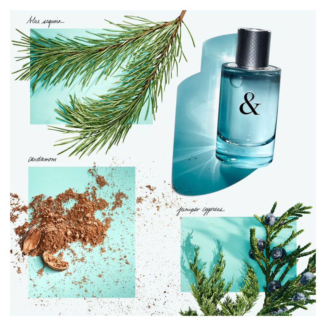 Tiffany & Love For Him Eau De Toilette 90 ML_TIF650039_Tiffany & co.-4