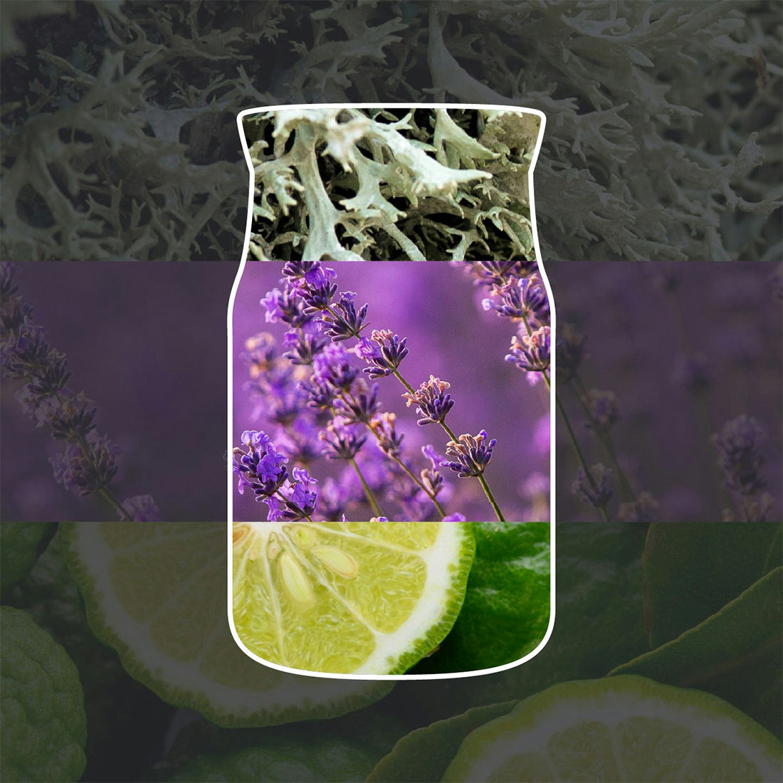 Tumbler Piccolo Signature Lemon Lavander_YAN2244660_YANKEE CANDLE-2