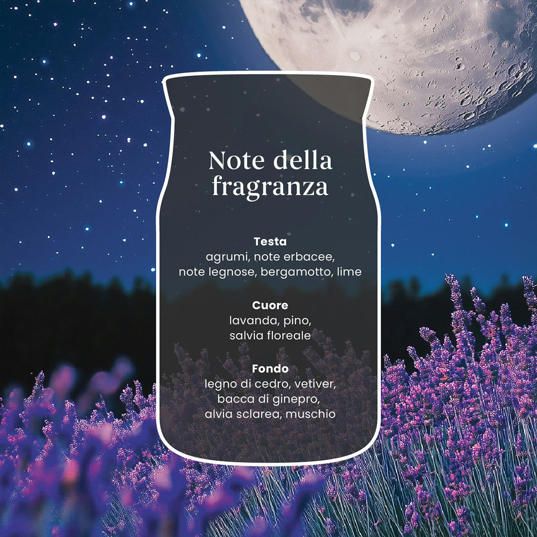 Tumbler Piccolo Signature Midsummer's Night_YAN2244658_YANKEE CANDLE-3