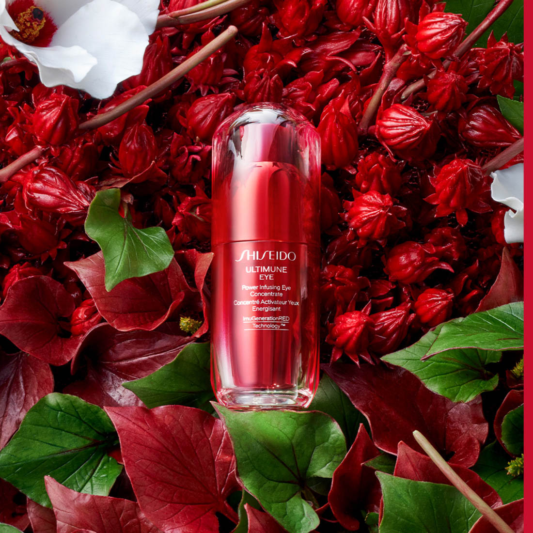 Ultimune Power Infusing Eye Concentrate Trattamento Contorno Occhi Antiage 15 ML_SHI17289_Shiseido-3
