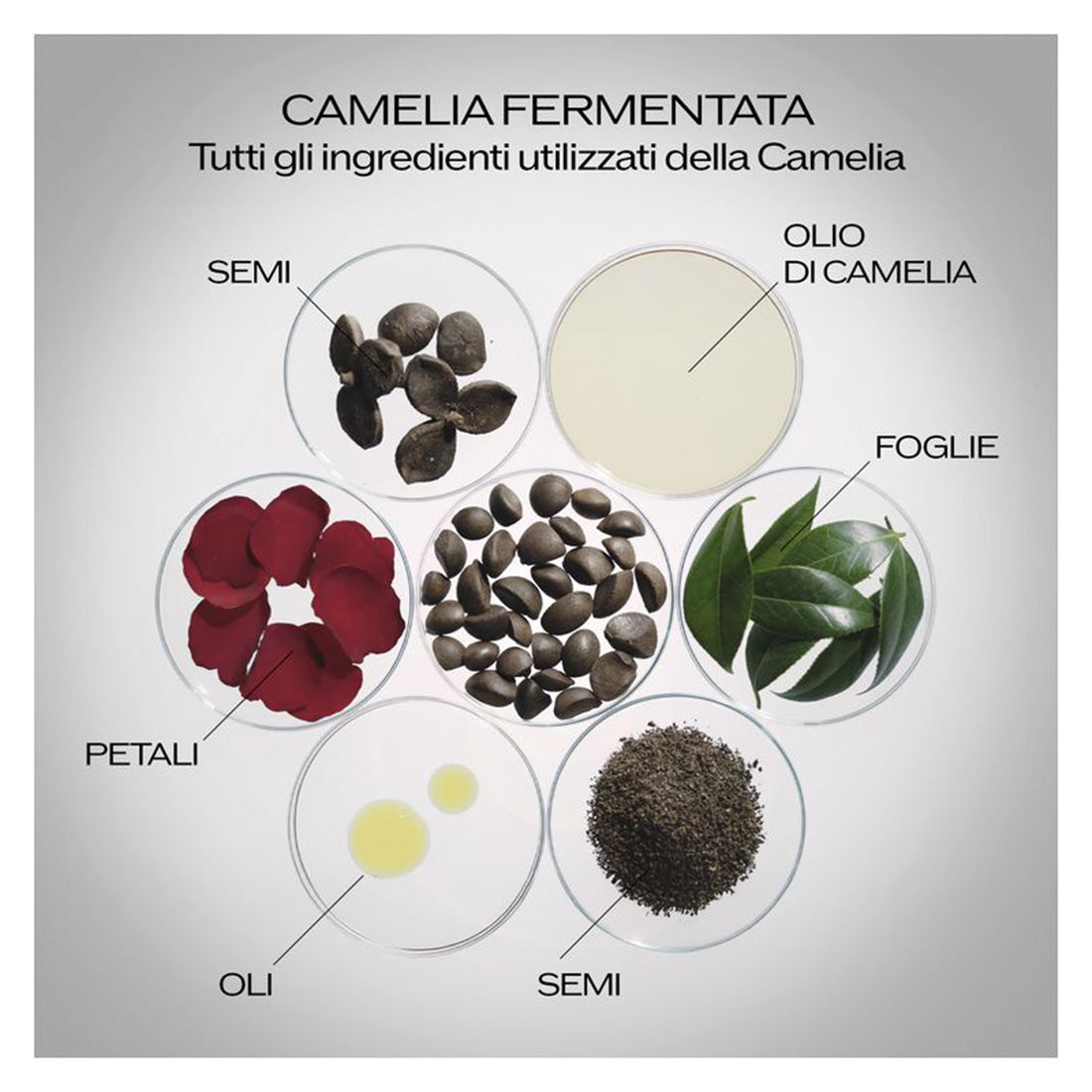 Ultimune Power Infusing RicaricaSerum Siero Antietà 50 ML_SHI22447_Shiseido-4