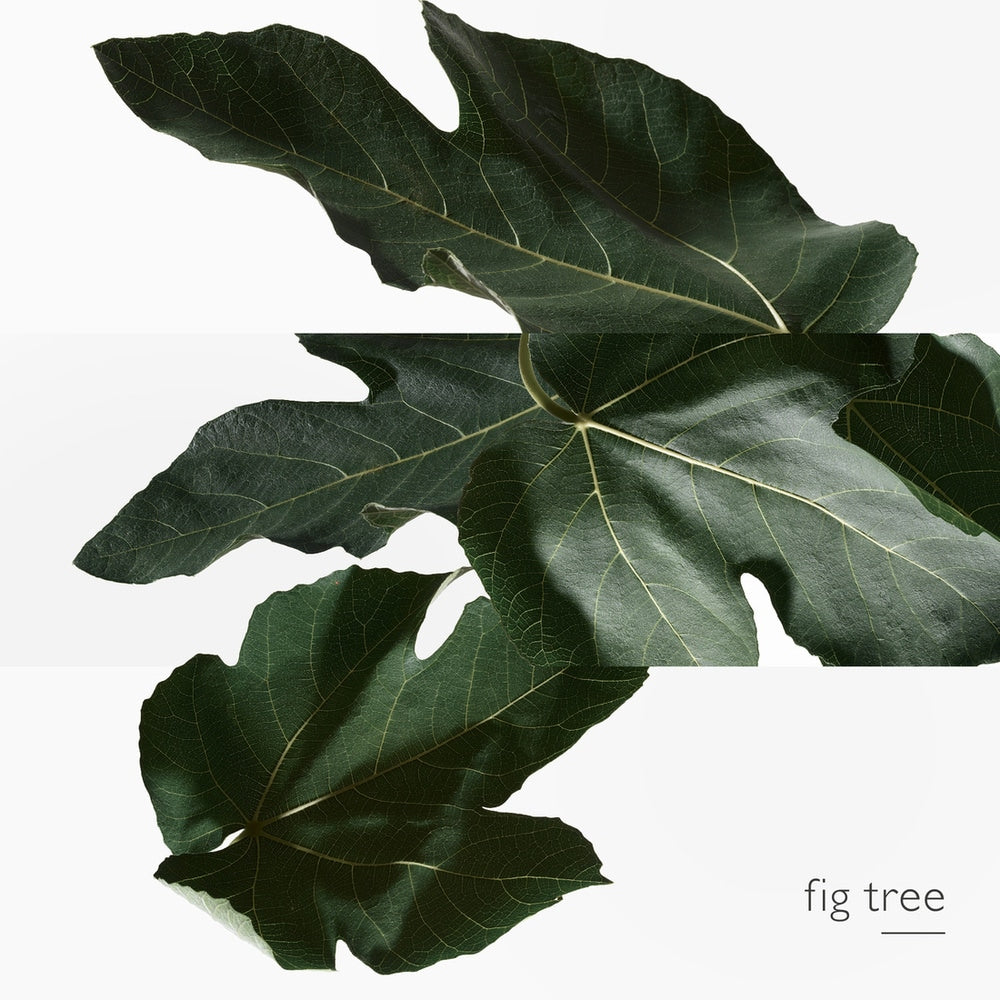 Un Jardin En Mèditerranèe Eau De Toilette 100 ML_HER65175269_Hermes-4