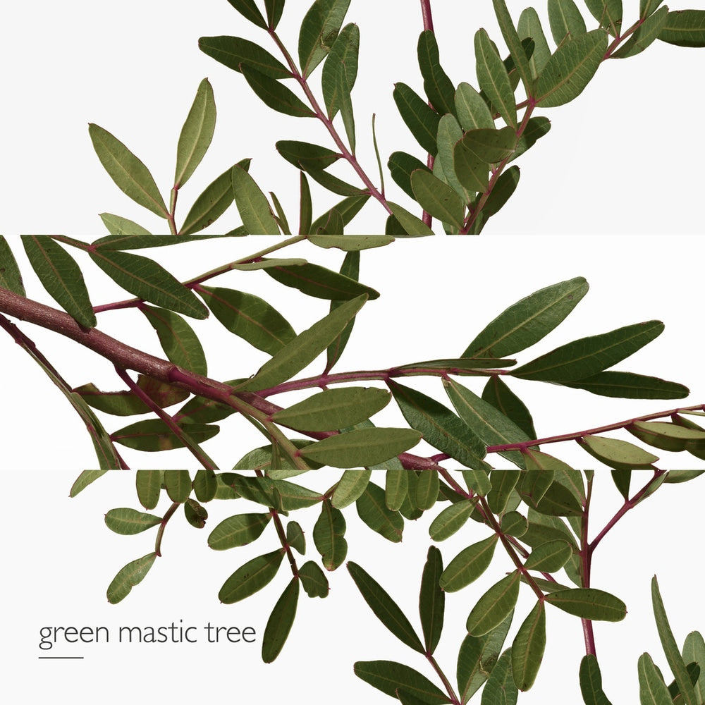 Un Jardin En Mèditerranèe Eau De Toilette 100 ML_HER65175269_Hermes-5