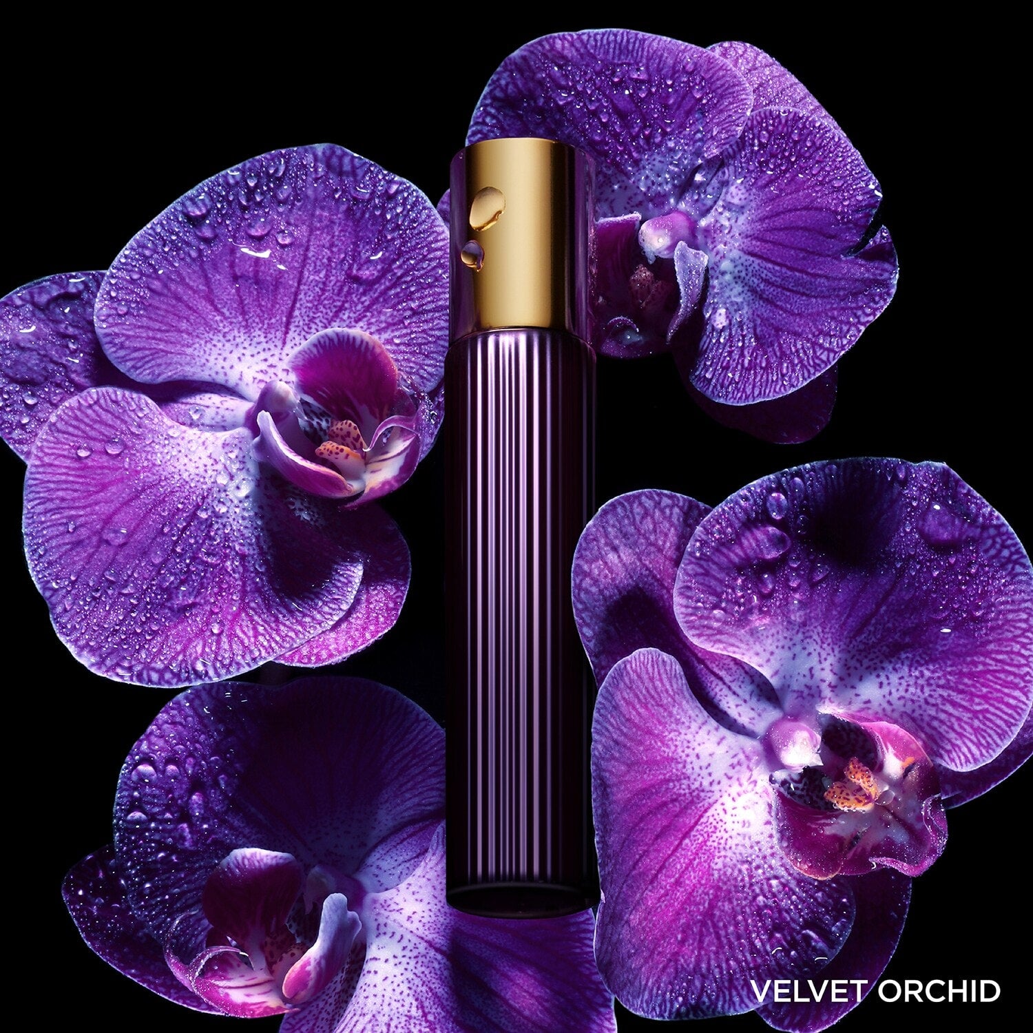 Velvet Orchid Eau De Parfum 100 ML_EST1X5010_Tom Ford-5