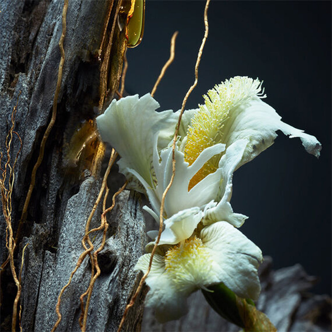 Vetiver Parfum 100 ML_GUE030523_Guerlain-4