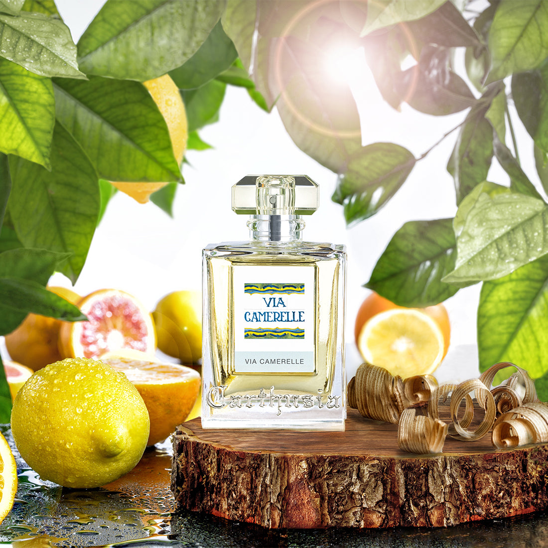 Via Caramelle Eau De Parfum 50 ML_CAR62821_Carthusia-3