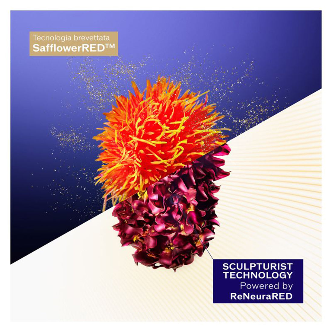 Vital Perfection Concentrate Supreme Cream Crema Antietà Oelle Matura Refill 50 ML_SHI21023_Shiseido-4