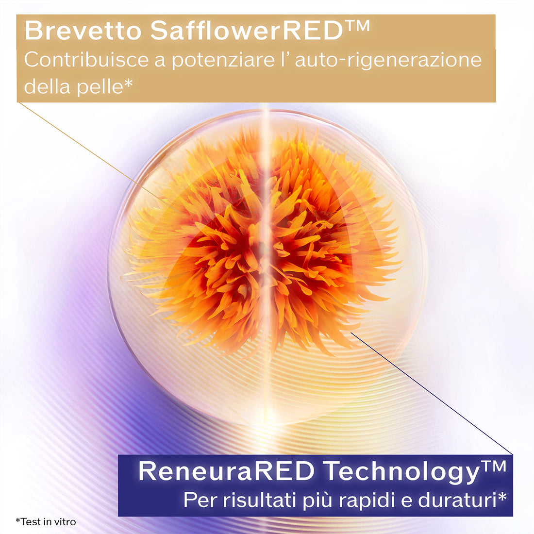 Vital Perfection Uplifting and Firming Advanced Cream Enriched Trattamento Antietà 50 ML_SHI20997_Shiseido-3