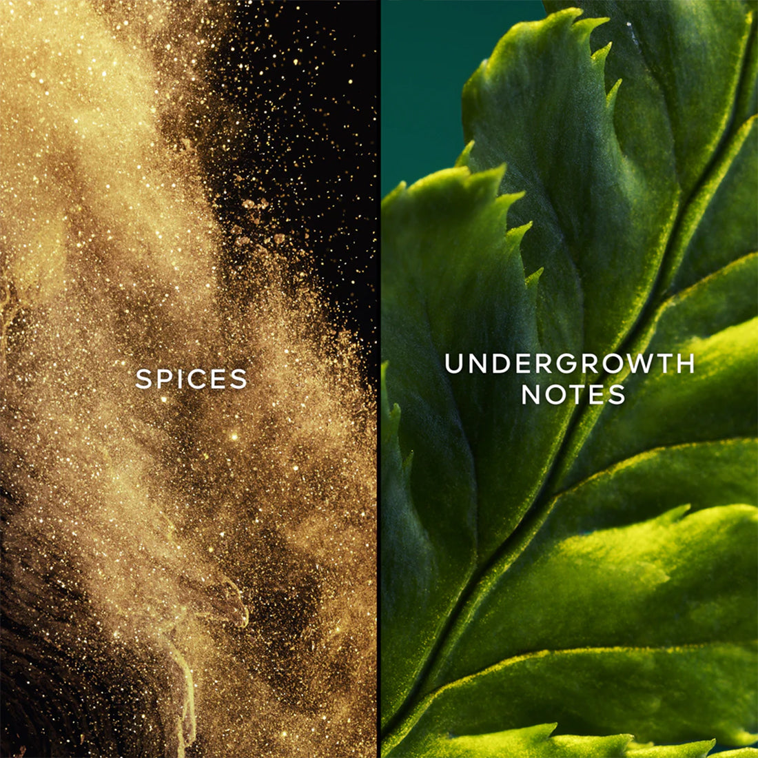 Vol De Nuit Eau De Toilette 75 ml_GUE14312_Guerlain-4