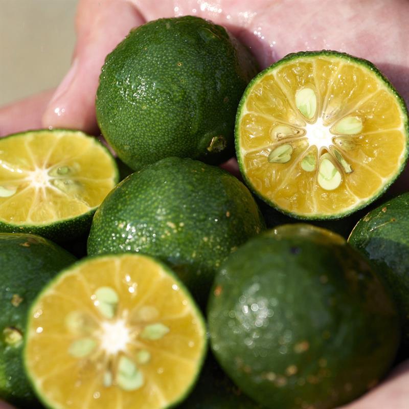 Waso Skilkulime Color Control Oil-Free Moisturizer Idratante Colorato 50 ML_SHI17876_Shiseido-3