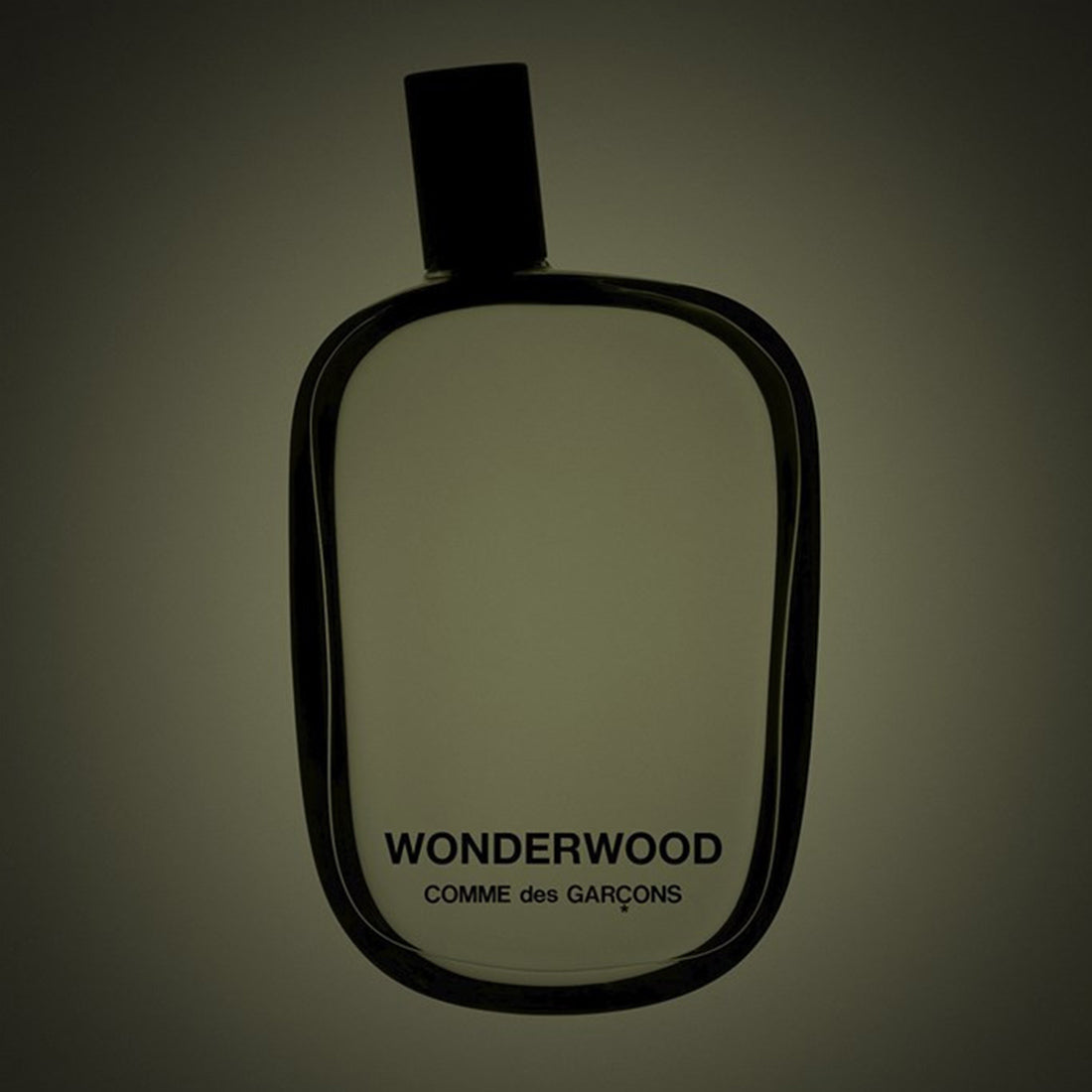 Wonderwood Eau De Parfum 100 ML_COM37654_Comme Des Garcons-5