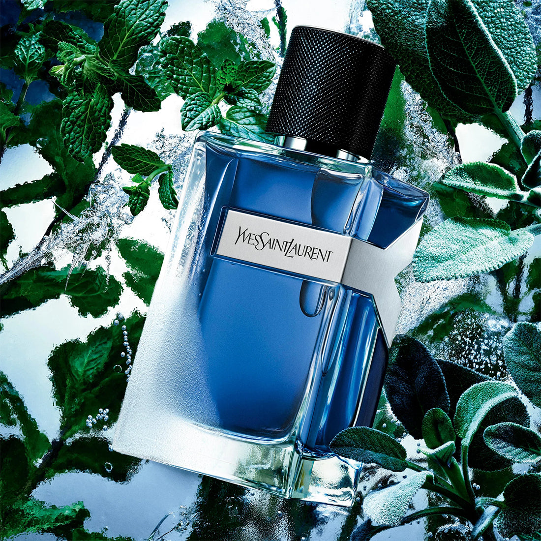 Y Iced Cologne Eau De Toilette Intense 60 ml_YSLLF706300_YSL-3
