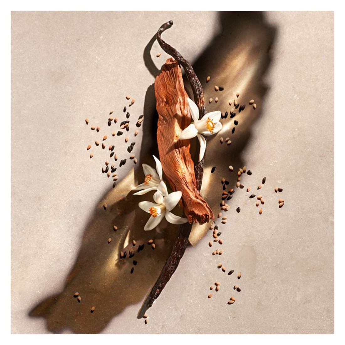 Zadig Eau De Parfum Refill 150 ML_ZAD31900320101_Zadig & Voltaire-2